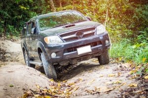 Jeep 4X4 nel bosco