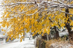 Fine autunno ed inizio inverno con strade innevate