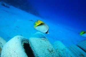 inquinamento del mare con plastica e gomma