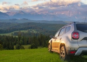 Gomme estive auto su prato
